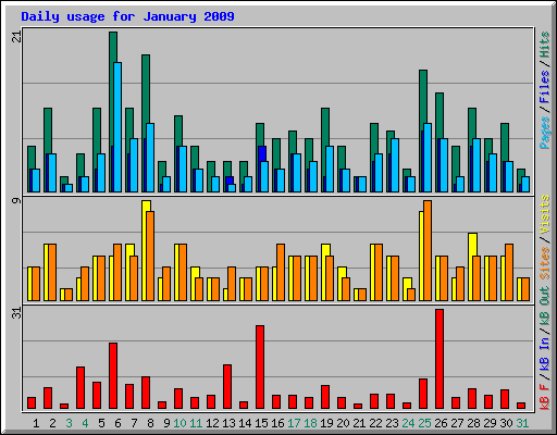 Daily usage for January 2009