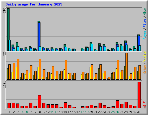 Daily usage for January 2025