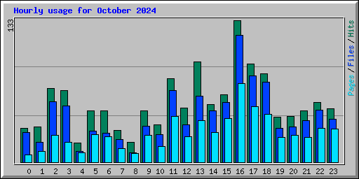 Hourly usage for October 2024