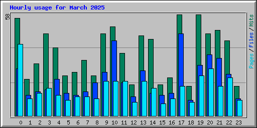 Hourly usage for March 2025