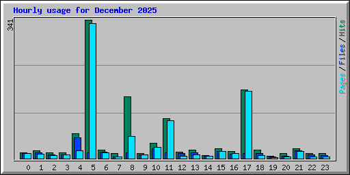 Hourly usage for December 2025