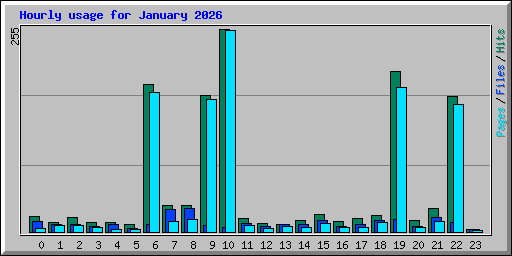 Hourly usage for January 2026