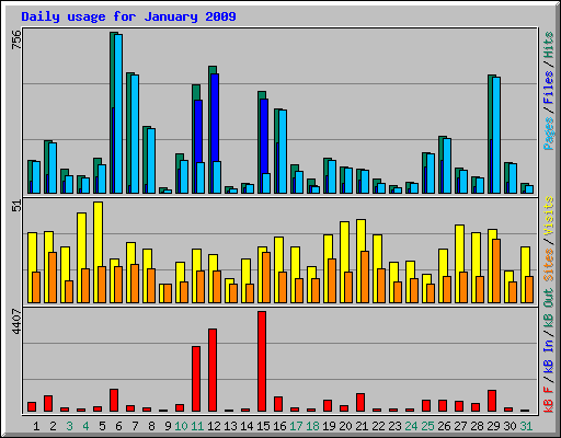 Daily usage for January 2009