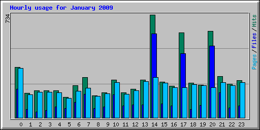 Hourly usage for January 2009