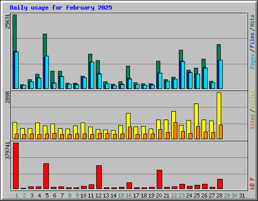 Daily usage for February 2025