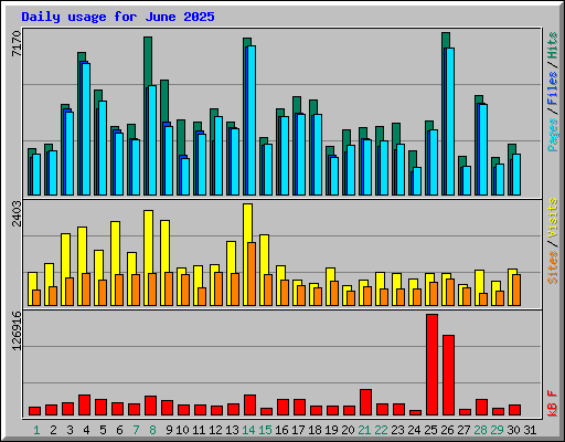 Daily usage for June 2025
