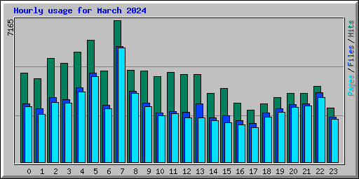 Hourly usage for March 2024