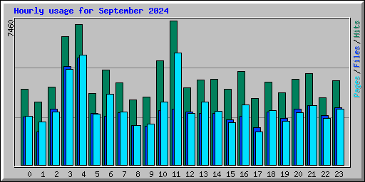 Hourly usage for September 2024