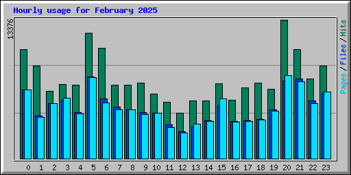 Hourly usage for February 2025