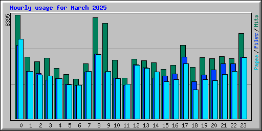 Hourly usage for March 2025