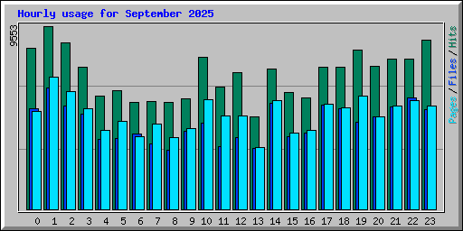 Hourly usage for September 2025