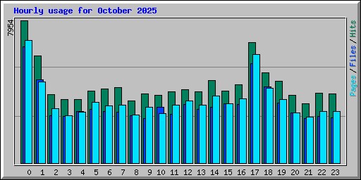 Hourly usage for October 2025