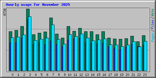 Hourly usage for November 2025