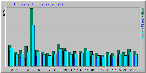 Hourly usage for December 2025