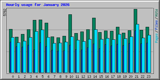 Hourly usage for January 2026