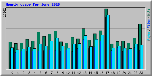 Hourly usage for June 2026