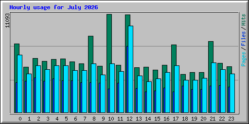 Hourly usage for July 2026