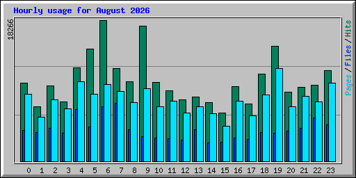 Hourly usage for August 2026