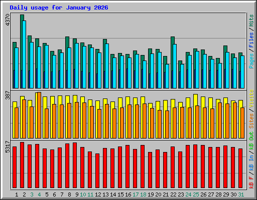 Daily usage for January 2026