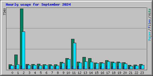 Hourly usage for September 2024