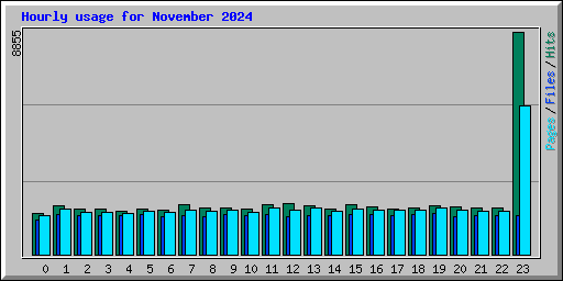 Hourly usage for November 2024