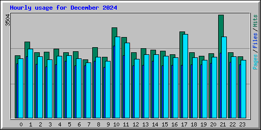 Hourly usage for December 2024