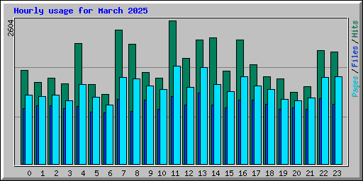 Hourly usage for March 2025