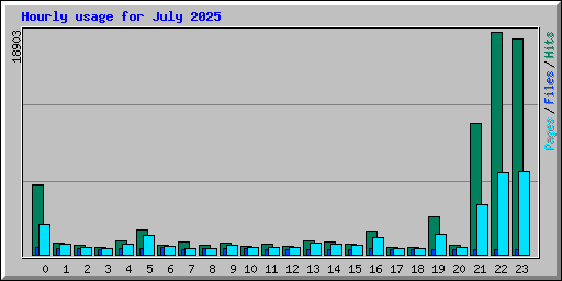 Hourly usage for July 2025