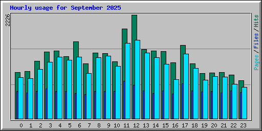 Hourly usage for September 2025