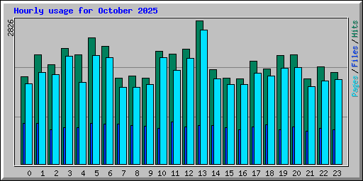 Hourly usage for October 2025