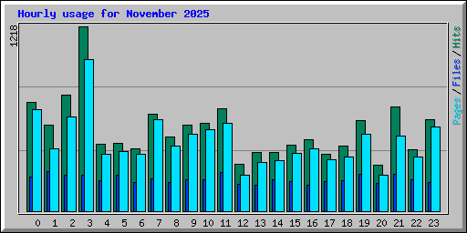 Hourly usage for November 2025