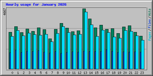Hourly usage for January 2026
