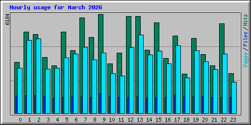 Hourly usage for March 2026