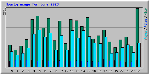Hourly usage for June 2026